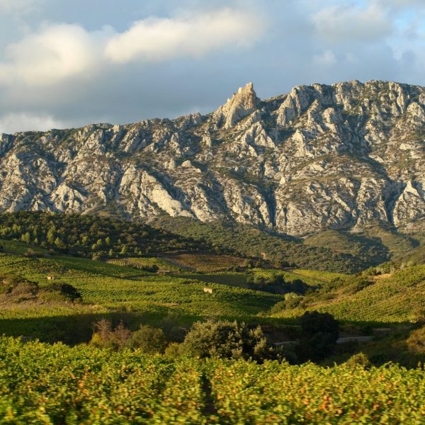 Quéribus dans le lointain