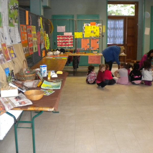 Exposition