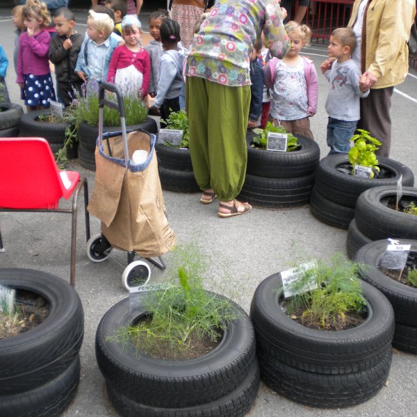 Plantes aromatiques